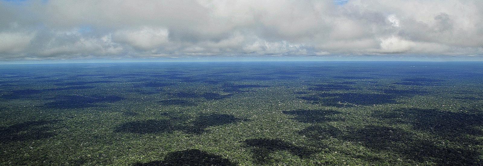 ©Neil Palmer/CIAT ©Neil Palmer/CIAT
