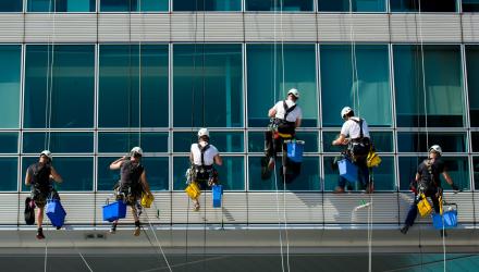 Collectifs de travail, coopération, équipe, travail, 